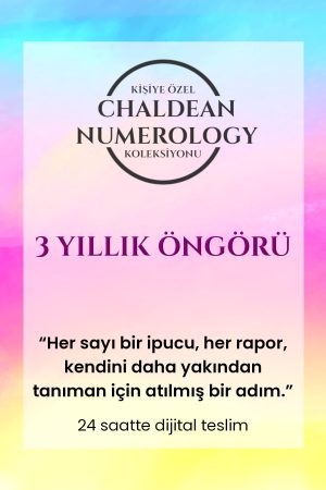 3 yıllık öngörü 2