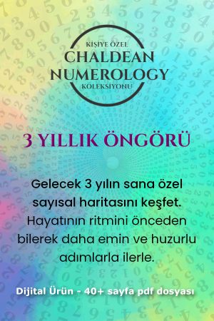 3 yıllık öngörü kapak 2