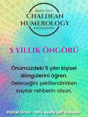 5 yıllık öngörü kapak 2 5 yıllık öngörü kapak 2