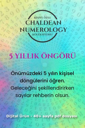 5 yıllık öngörü kapak 2