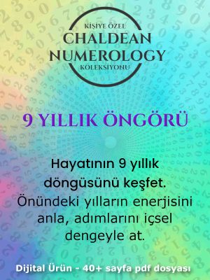 9 yıllık öngörü kapak 2 9 yıllık öngörü kapak 2