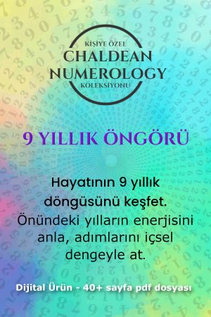9 yıllık öngörü kapak 2