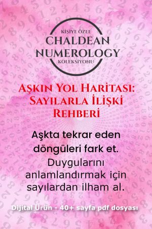 aşkın yol haritası kapak 2