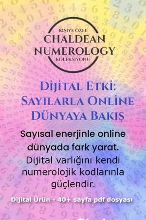 dijital etki kapak 2