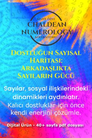dostluğun sayısal haritası kapak 2