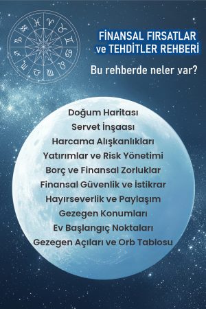 finansal fırsatlar ve tehditler içindekiler 2