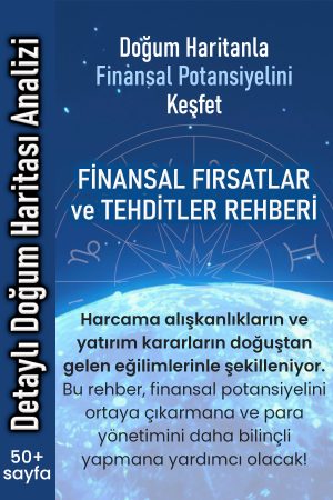 finansal fırsatlar ve tehditler kapak 2