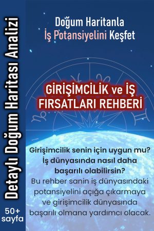 girişimcilik ve iş fırsatları kapak 2