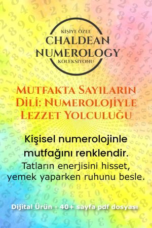 mutfakta sayıların dili kapak 2