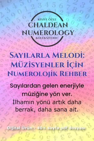 sayılarla melodi kapak 2