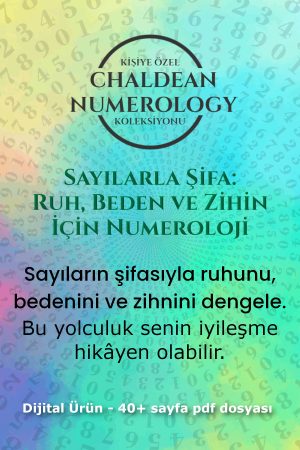 sayılarla şifa kapak 2