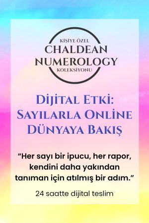trendyol 2