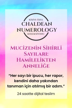 trendyol 2