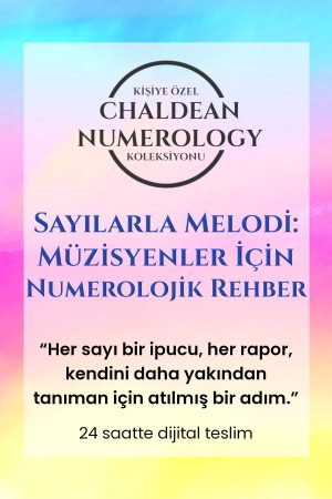 trendyol 2