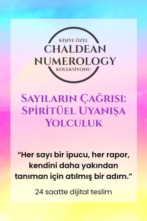 trendyol 2