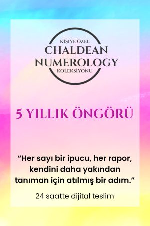 trendyol 2