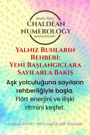 yalnız ruhların rehberi kapak 2